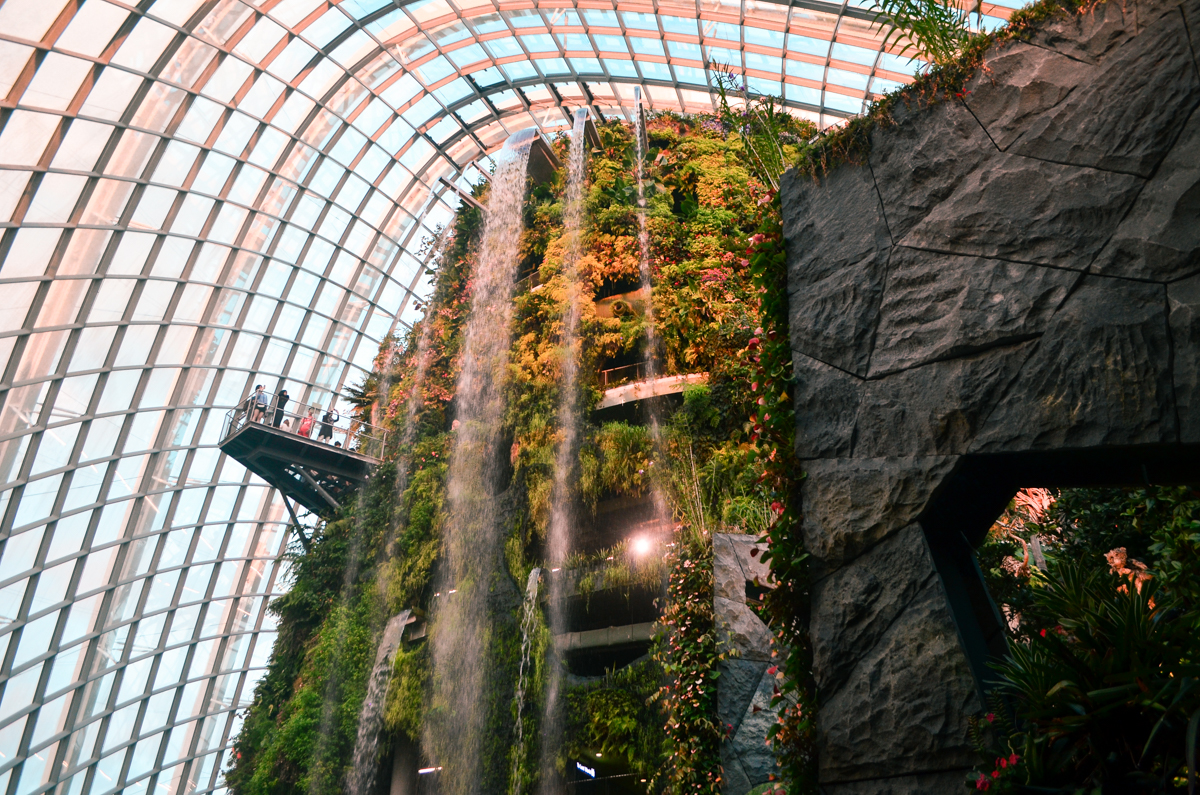 Cloud Forest, Singapore
