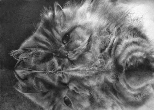 03--Hyper-realistic-Cats-Pencil-Drawings-Hong-Kong-Artist-Paul-Lung-aka-paullung-www-designstack-co