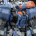 Custom Build: MG 1/100 GAT-X102 Duel Gundam Assault Shroud [Detailed]