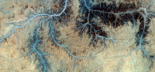 soul roots,Stone plant fantasy,Abstract Naturalism,abstract photography deserts of Africa from the air,abstract surrealism,mirage in desert,fantasy forms and colors in the desert,plants,flowers, soul roots,Stone plant fantasy,Abstract Naturalism,abstract photography deserts of Africa from the air,abstract surrealism,mirage in desert,fantasy forms and colors in the desert,plants,flowers,