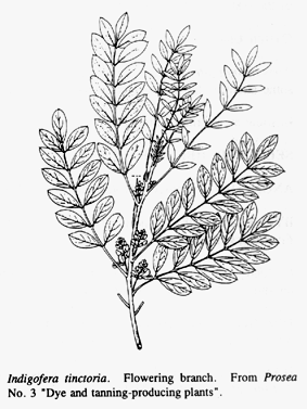 Claudia Martínez: TINTES NATURALES / Añil - Indigo - Mutuy cube- Tayum ...