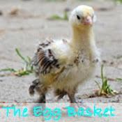 Visit our Website ~The Egg Basket