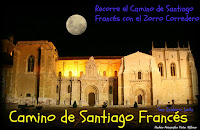 CAMINO DE SANTIAGO FRANCES