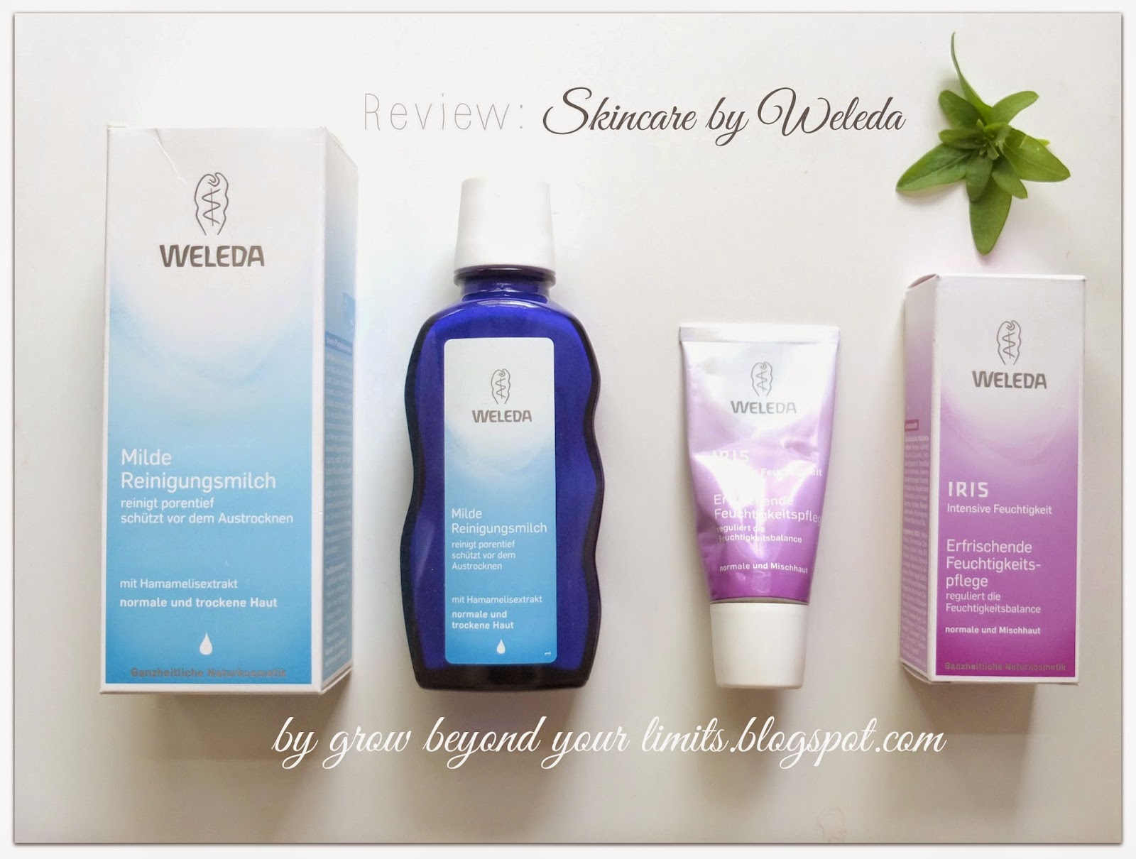 How to grow healthy, long and beautiful hair. Holistic Natural Living. DIY & Recipes : Review: Weleda Iris Facial Lotion & Gentle Cleansing Milk