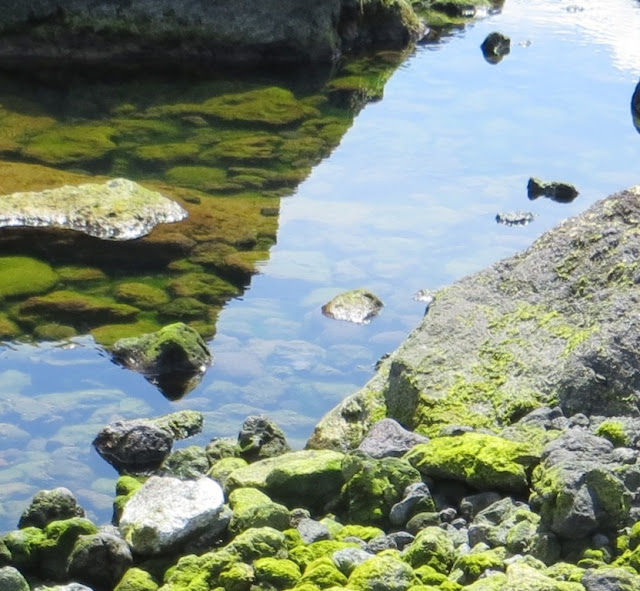 Ampliação de fotografia da "Fonte das Pombas" zona balnear dos Biscoitos, reflexo na água do mar, pedras algas e musgo 