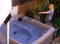 Crazy Cat GIF • Cat gone wild. He suddenly jumped into Jacuzzi tub SPLASH! haha