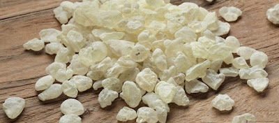 Δείτε πως βοηθάει η μαστίχα Χίου στην οστεοπόρωση  