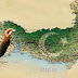 Το πραγματικό σχέδιο της Τουρκίας για την "Ανεξάρτητη Θράκη"