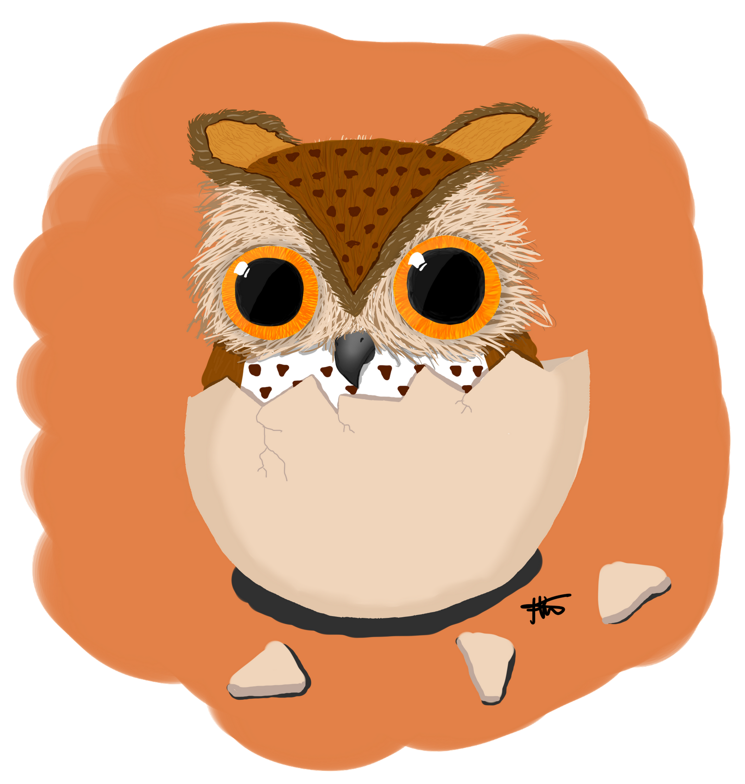 Gambar Kartun The Owl | Sobponsel