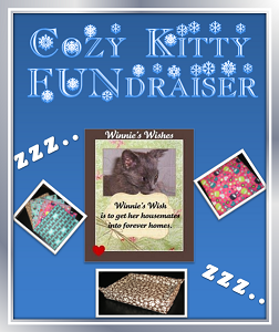 http://celestialkitties.blogspot.com/2014/11/cozy-kitty-fundraiser-for-winnies-wish.html