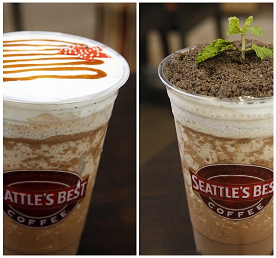 Seattle's Best Coffee Javakula Peppermint Pot and Sea Salt