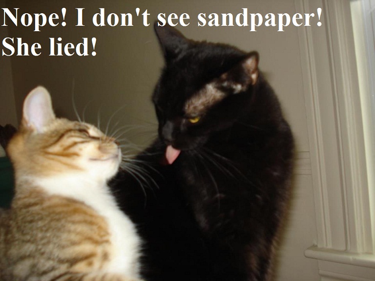Oh My Freaking Stars! Sandpaper & Kitty Tongues!