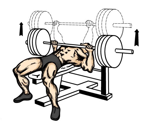 In Depth Fitness: Bench Press