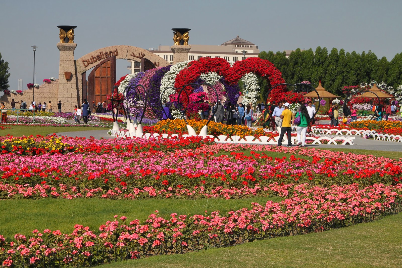 Life in Abu Dhabi Dubai Miracle Garden
