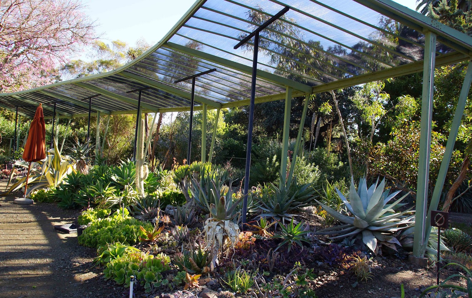 A Visit To Ruth Bancroft Garden