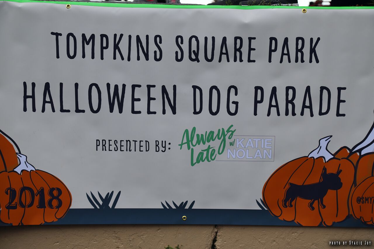 (Free) Popular Google Halloween 2018 - Unique Some