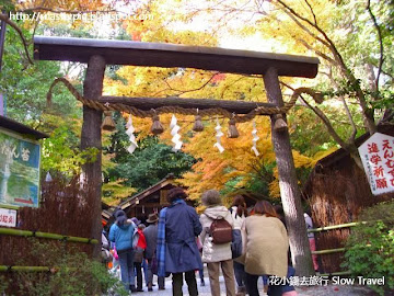 京都是日本欣賞紅葉的勝地,遍佈於京都市內外及附近城市.下表的資料參考2011年時紅葉最前線的情報.京都市紅葉盛開的時為11月中旬至11月下旬,此段時間是欣賞紅葉最好的時節,亦是京都旅遊觀光的超級旺季,故酒店的房租會在這段時間大幅上升,所以建議應提早準備.有部份紅葉會至12月上旬,...