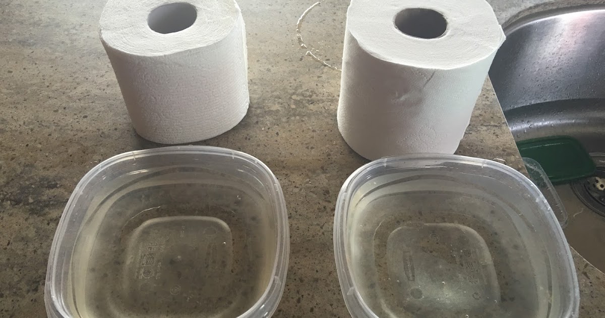 Life Where We Park It Is RV Toilet Paper Really Necessary?