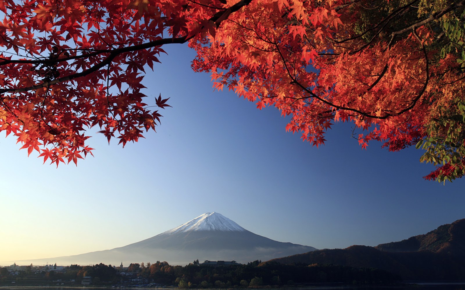 Hình ảnh thiên nhiên đầy màu sắc tại Nhật Bản - Cuộc sống 365 day