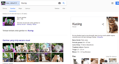 Cara Mencari Gambar Yang Sama Atau Seolah-Olah Di Internet - otak pintar