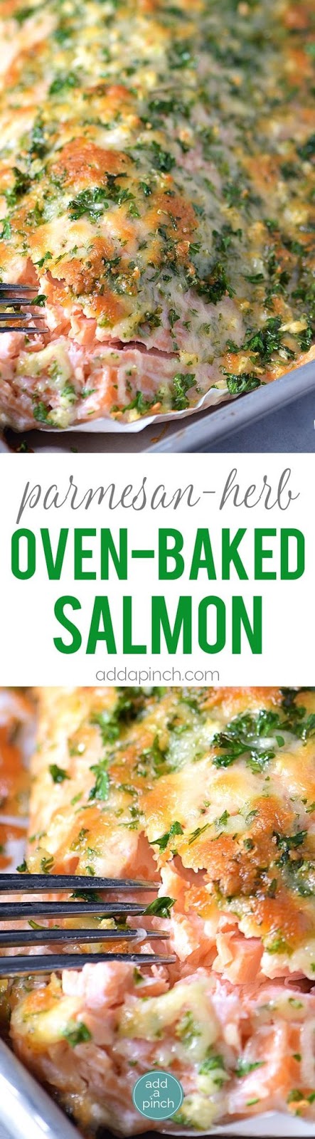 Baked Salmon with Parmesan Herb Crust Recipe - ZX25RR