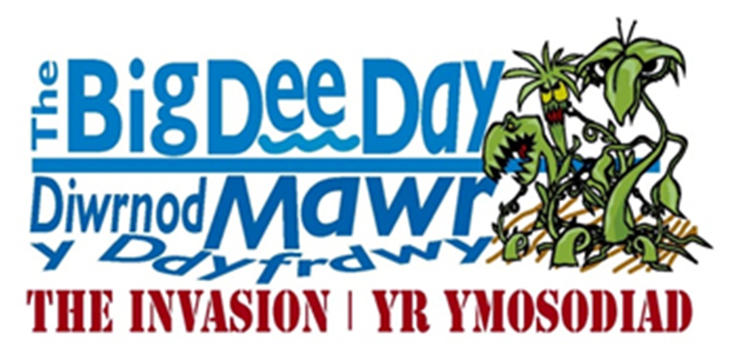 Wirral Wildlife Blog Big Dee Day 28th and 29th June