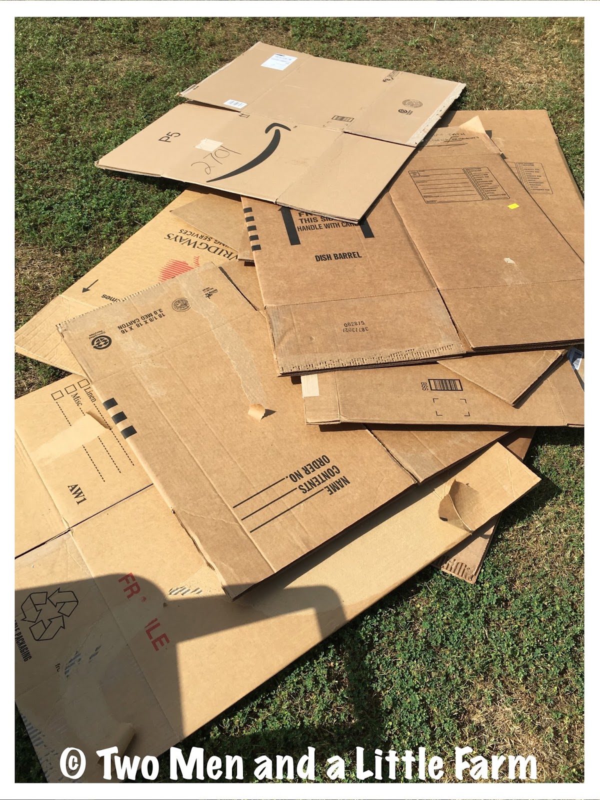 Two Men and a Little Farm USING CARDBOARD IN LANDSCAPING AND GARDENING