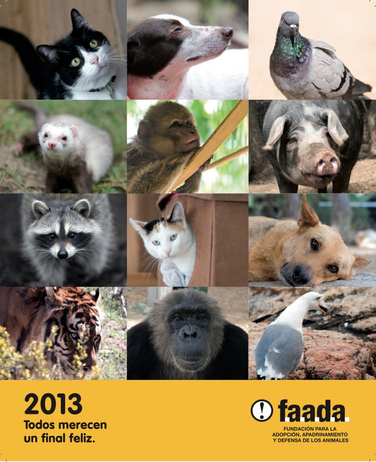 Calendario FAADA 2013