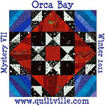 Orca Bay Mystery