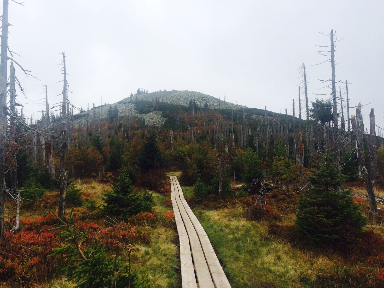 Fritsch Wanderkarten Bayerischer Wald 1 50 000 1 100 000