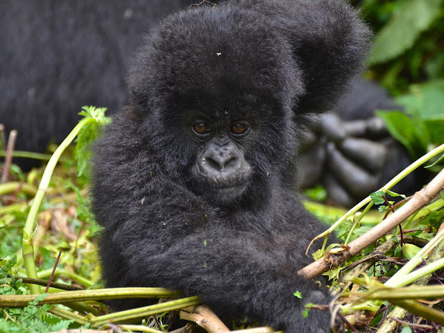 ���� ���� ������ �� ���� ������