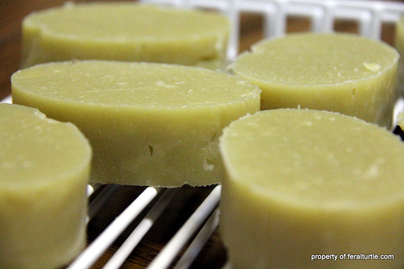 The Feral Turtle Dandruff Shampoo Bars.