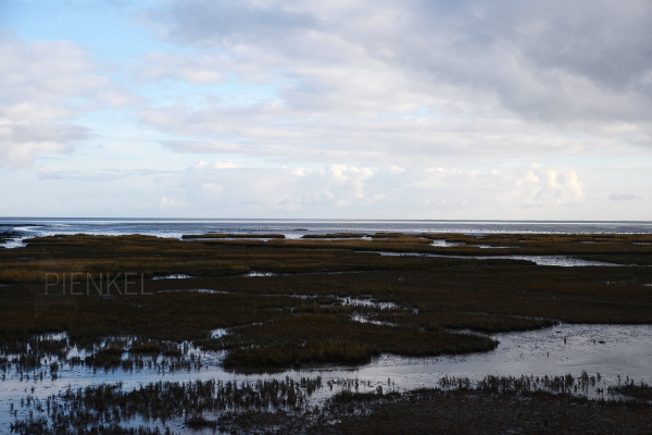 Waddensea Terschelling