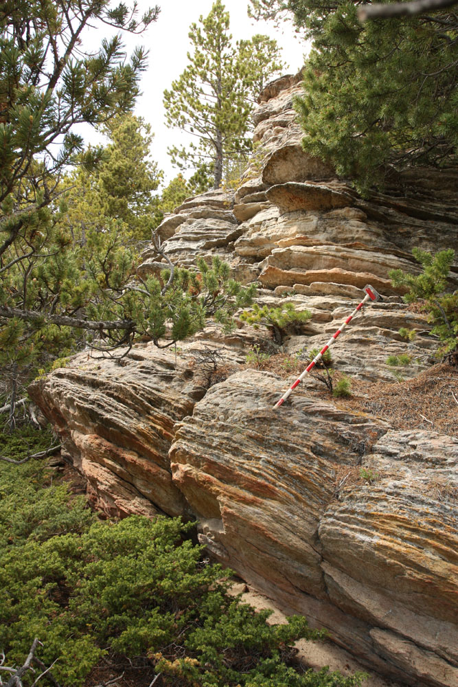 Adventures in Cambrian Geology Rattlesnake Hills, Wyoming