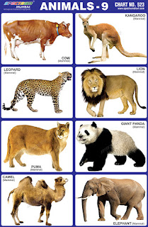 Spectrum Animals Sticker Chart