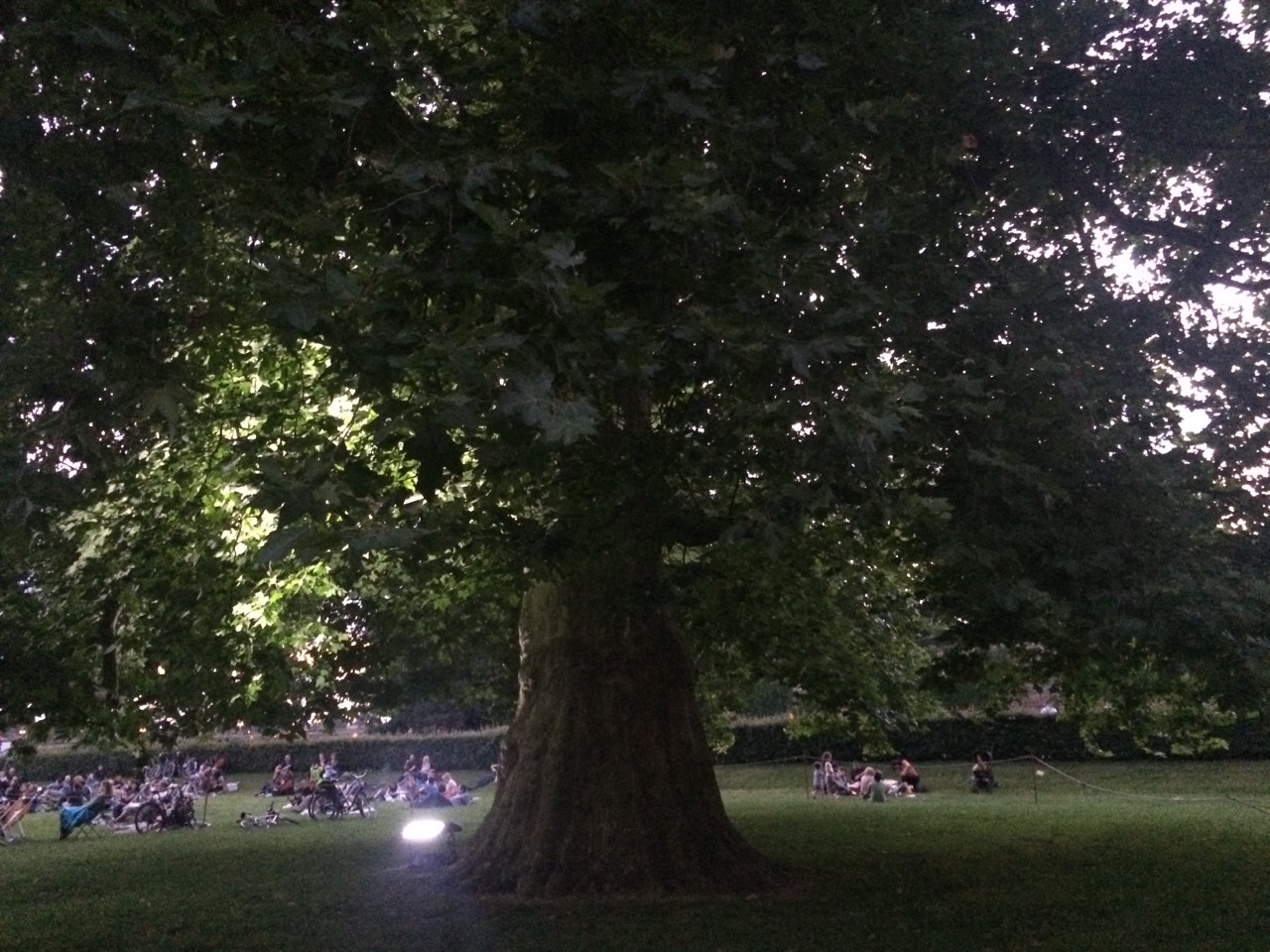 Wwl Oder Was War Los In Den Berliner Sommerferien