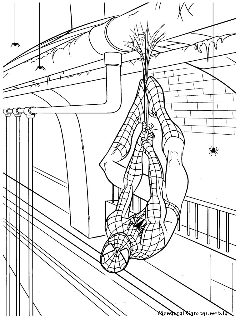 Gambar Mewarnai  Gambar Spiderman  Kartun di Rebanas Rebanas