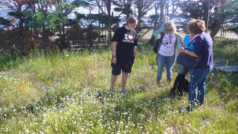 OBSERVATORIO rodeira