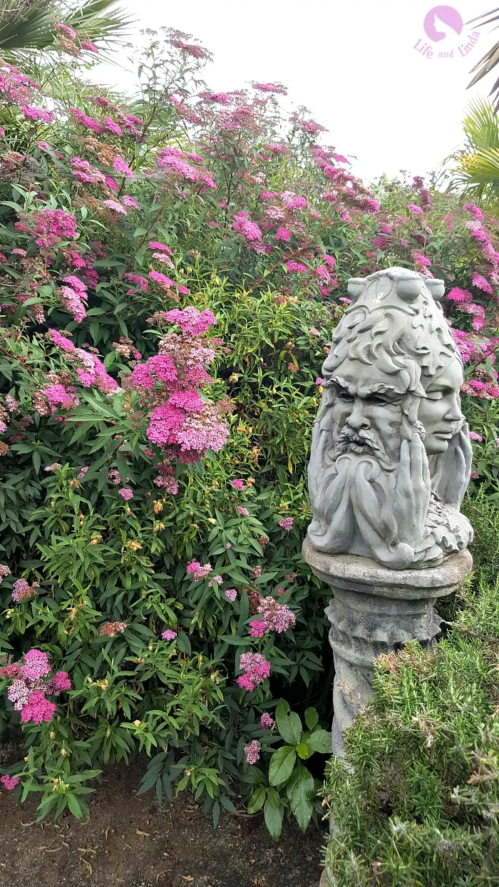 pink blooms surrounding statue.