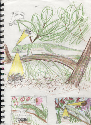 a-life-inspired-by-nature-sketch-book