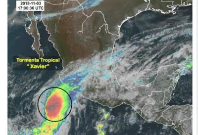 Se forma tormenta tropical "Xavier" en costas de Jalisco y Colima