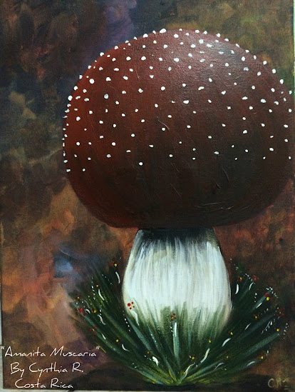 amanita muscaria, hongo rojo