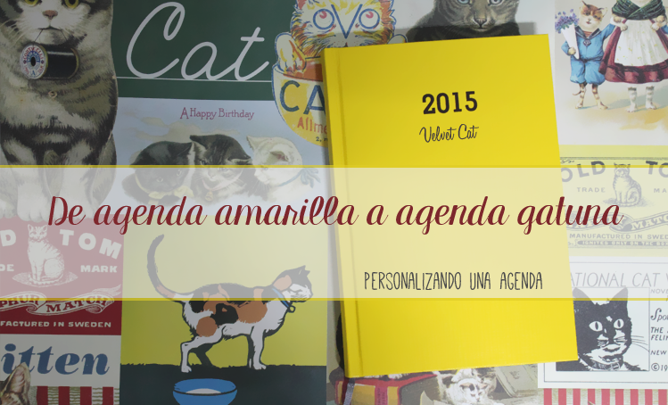 Agenda 2015 DIY Decorar