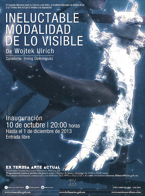 Exposición individual de Wojtek Ulrich en el Ex Teresa Arte Actual