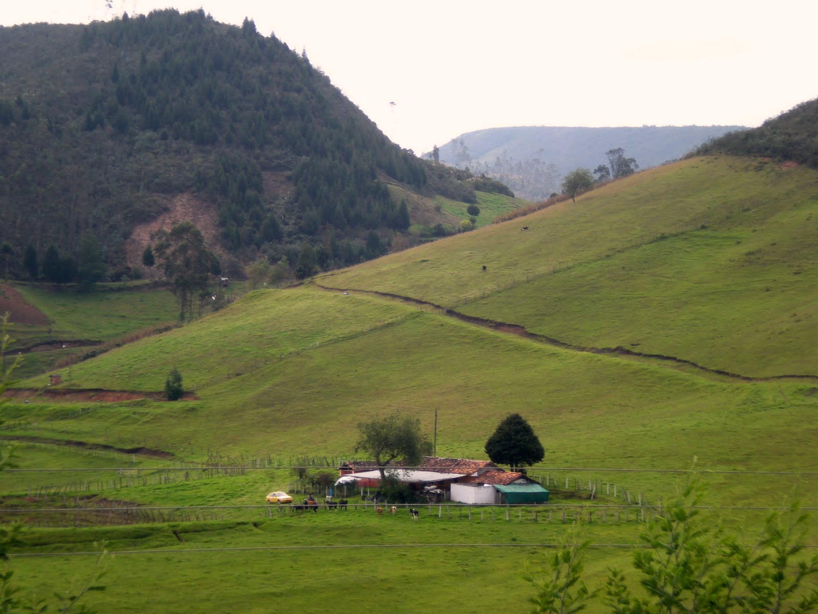 RichAndNancy Yunguilla Pictures