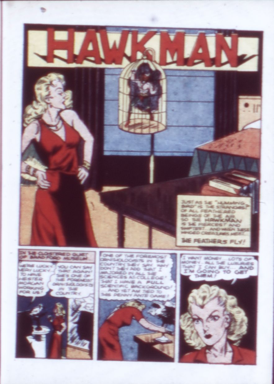 Read online Flash Comics comic -  Issue #52 - 49