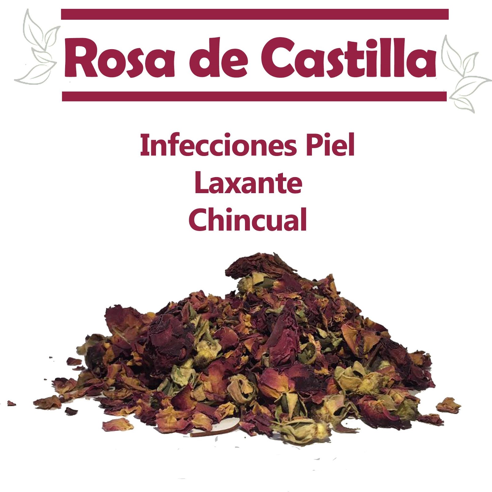 Lista 101+ Foto Té De Rosa De Castilla Para Los Ojos Alta Definición