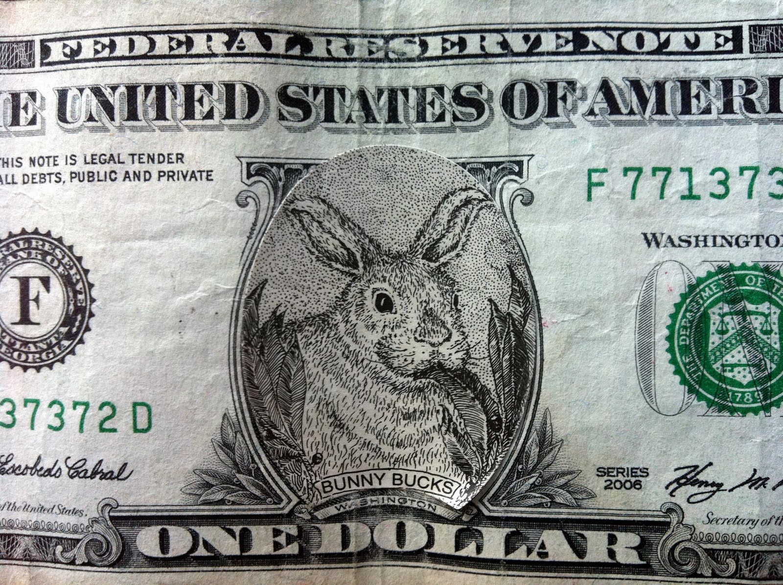 rabbit-ramblings-bunny-money