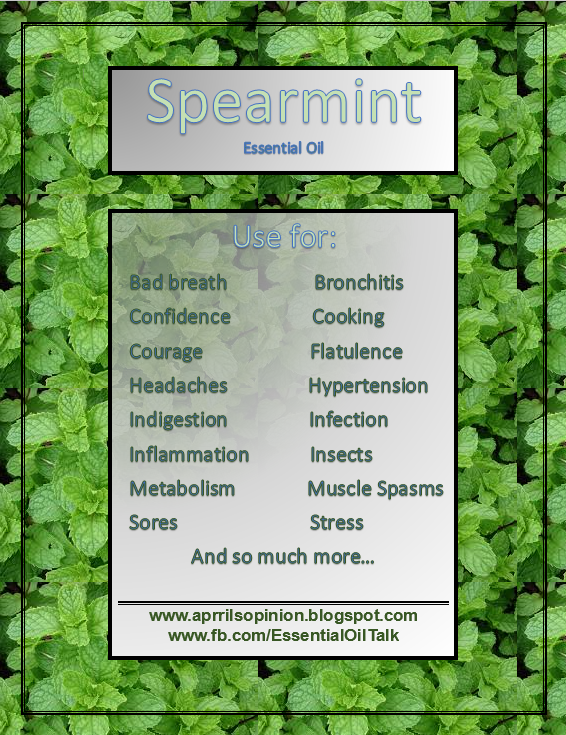 Spearmint Essential Oil