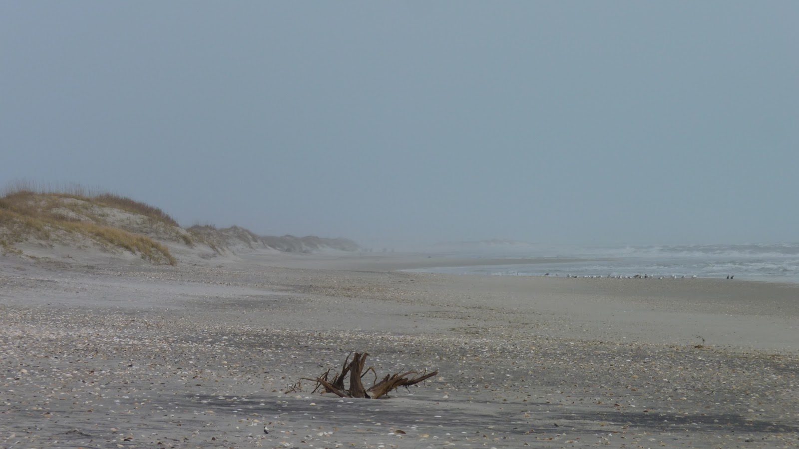 Driving the Outer Banks
